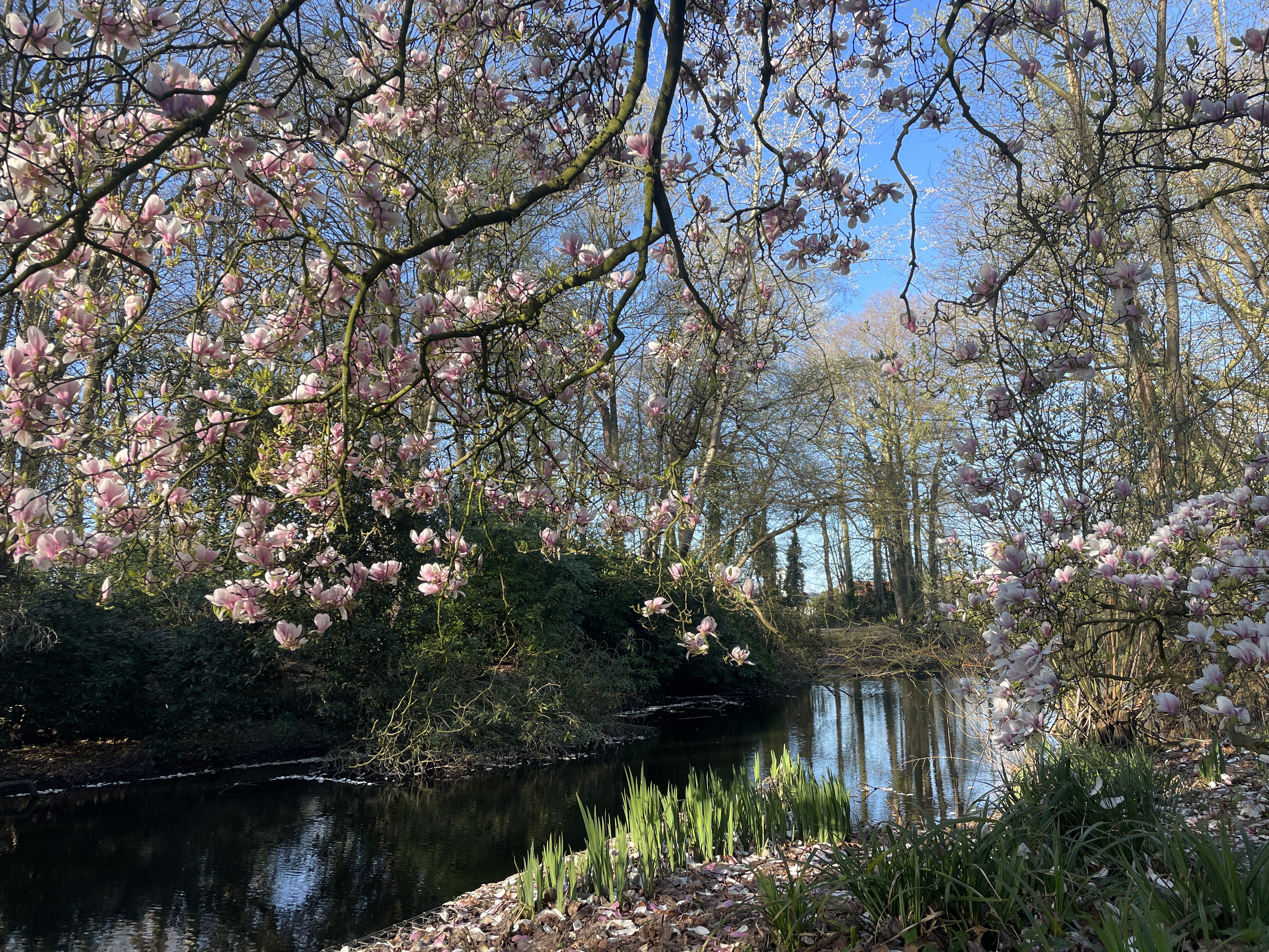 spring is in the air